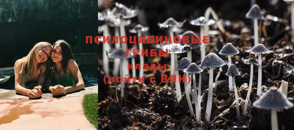 первитин Алексеевка