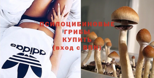 2c-b Алзамай